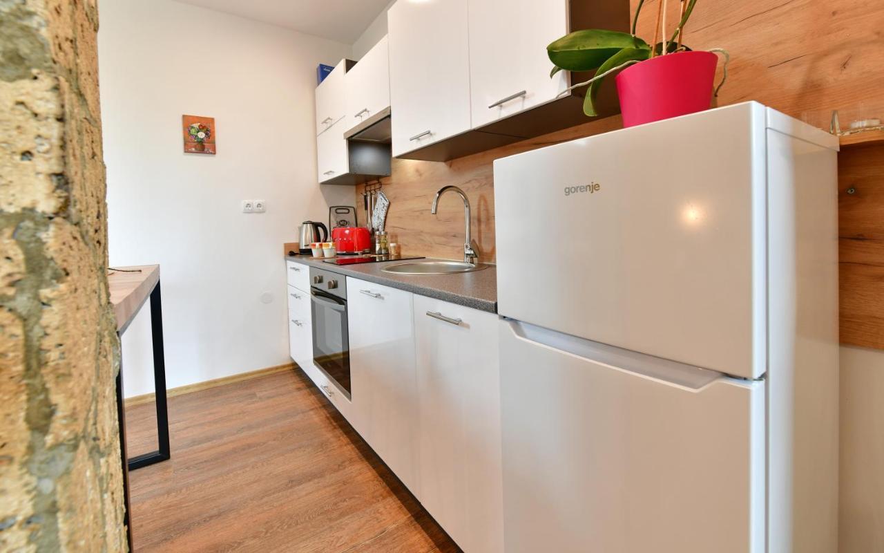 فندق House Bela Vido Drežnik Grad المظهر الخارجي الصورة